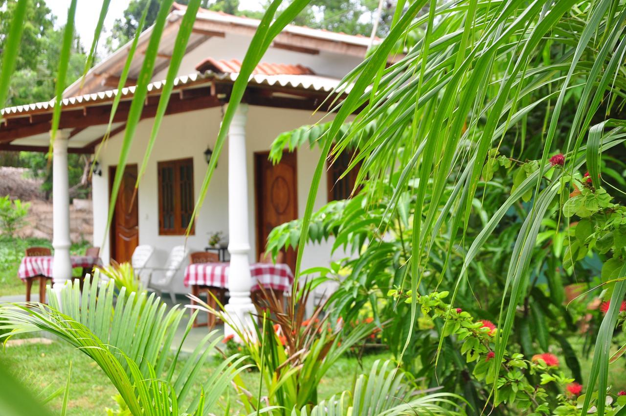 Sigiriya Amenity Home Stay Exterior foto